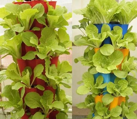 Hydroponisch systeem Klimaatbeheersingsfilm kas met tijdelijke verwarming door Juxiang