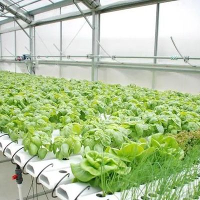 Hydroponisch systeem Klimaatbeheersingsfilm kas met tijdelijke verwarming door Juxiang