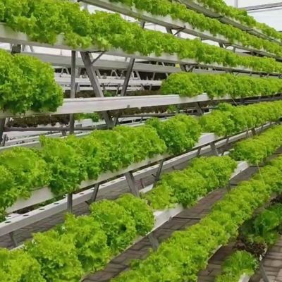 Hydroponisch systeem Klimaatbeheersingsfilm kas met tijdelijke verwarming door Juxiang