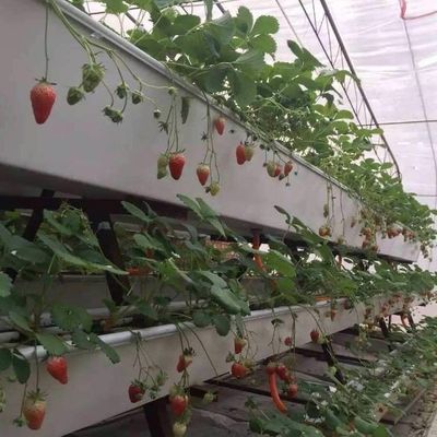 Hydroponisch systeem Klimaatbeheersingsfilm kas met tijdelijke verwarming door Juxiang