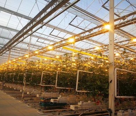 Anti-Drip Fogging verlichtende kas voor zaadverbouwing Op aanvraag
