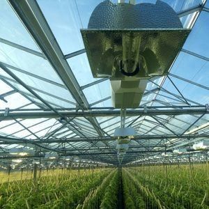 Anti-Drip Fogging verlichtende kas voor zaadverbouwing Op aanvraag