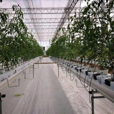 Glaskasten met hydroponische installatie voor het hele jaar door verbouwen betaalbare verzendkosten