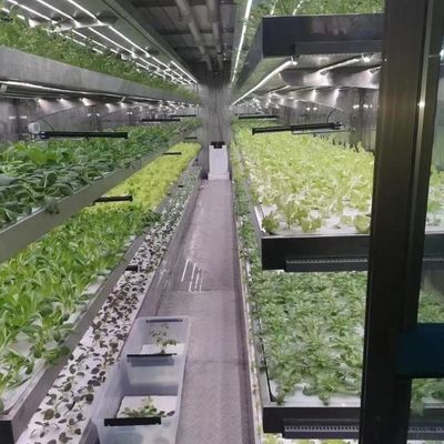 Glaskasten met hydroponische installatie voor het hele jaar door verbouwen betaalbare verzendkosten