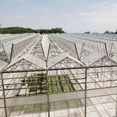 Een redelijk geprijsd glazen kas hydroponisch systeem voor grootschalige landbouwbehoeften