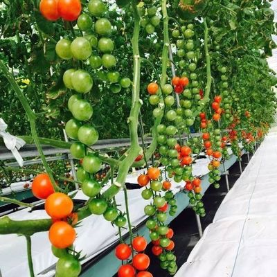 Tijdelijke verwarmingsoplossingen voor glaskasten