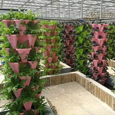 Grootschalige hydroponische installaties voor landbouwhuisgassen met tijdelijke verwarmingsmethode