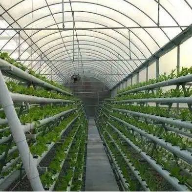 Grootschalige hydroponische installaties voor landbouwhuisgassen met tijdelijke verwarmingsmethode