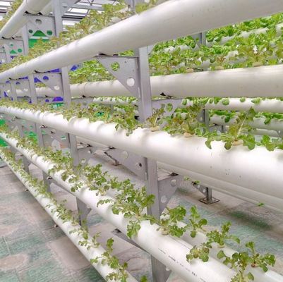 Grootschalige hydroponische installaties voor landbouwhuisgassen met tijdelijke verwarmingsmethode
