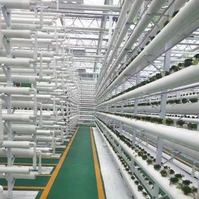 Grootschalige hydroponische installaties voor landbouwhuisgassen met tijdelijke verwarmingsmethode