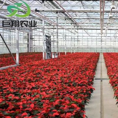 Hot-DIP gegalvaniseerd staal buis structuur materiaal kas met 1 stuk Min.Order