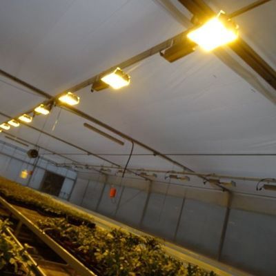 Gecontroleerde omgeving Verlichtte plantenkas met glazen dekking en verlichting