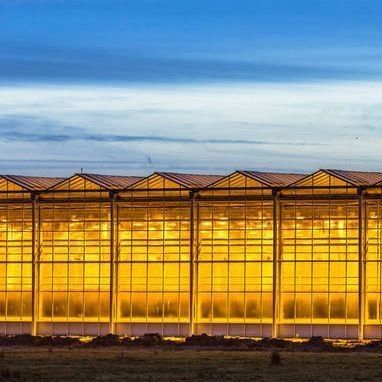 Gecontroleerde omgeving Verlichtte plantenkas met glazen dekking en verlichting