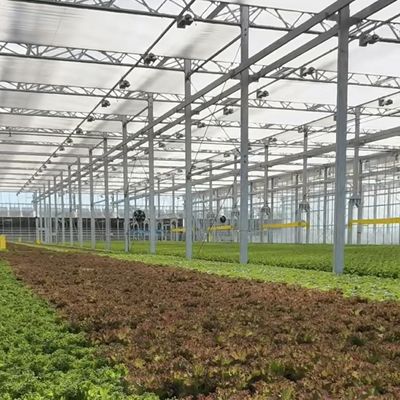 Groentehuishoudelijk hydroponicsysteem met maatwerk en 100.000 kg pakket bruto gewicht