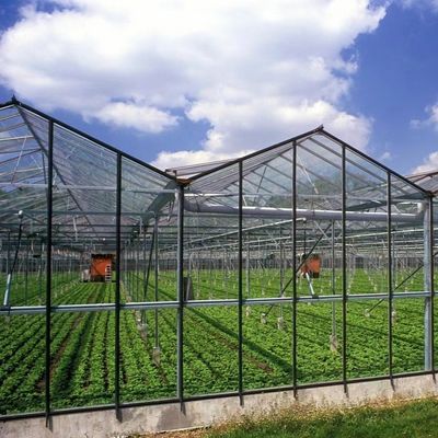 Groentehuishoudelijk hydroponicsysteem met maatwerk en 100.000 kg pakket bruto gewicht