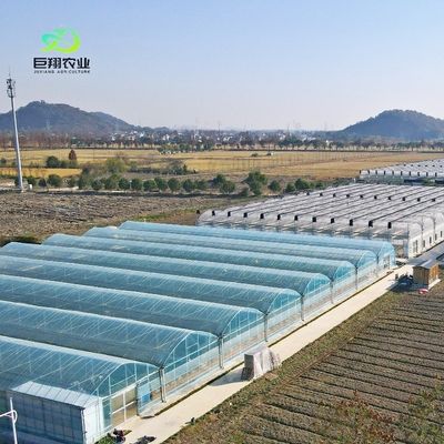 Glasgroenhuis voor planten tomaten en bladeren JX-Glas Span 8m 9,6m 12m Op maat