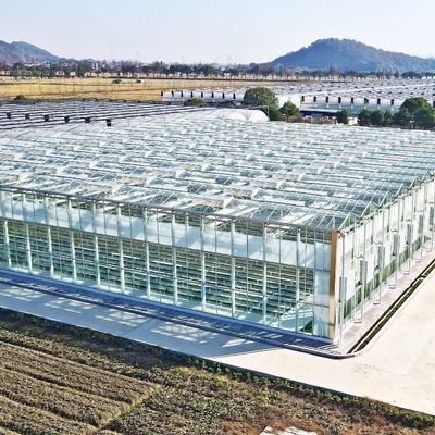 Glasgroenhuis voor planten tomaten en bladeren JX-Glas Span 8m 9,6m 12m Op maat