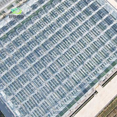 Glasgroenhuis voor planten tomaten en bladeren JX-Glas Span 8m 9,6m 12m Op maat
