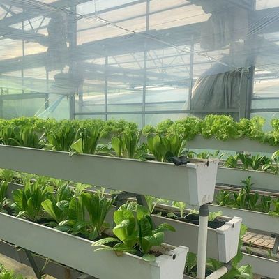 Glasbedekte hydroponische zaailingen kas met buiten schaduw en spuitkoeling