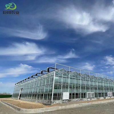 Op maat gemaakte multi-span arch type film landbouwkas met glazen dekking