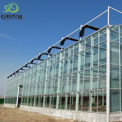 Op maat gemaakte multi-span arch type film landbouwkas met glazen dekking