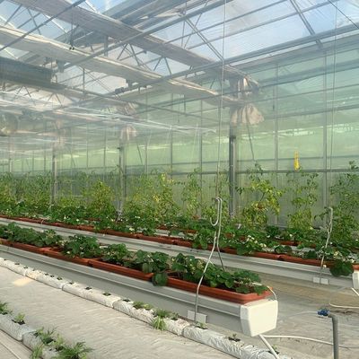 Groenhuisinstallatie met een hydroponische film van vierkante meter voor de productie van gewassen gedurende het hele jaar