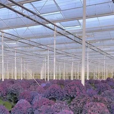 Hot DIP gegalvaniseerd staal glas kas JX-A0082 voor de commerciële kasmarkt