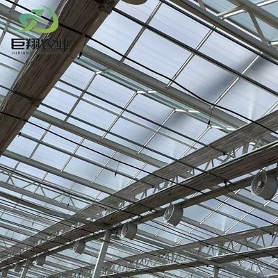 Glasbedekte dubbele laag kas voor hydroponische groenten/bloemen/vruchten/tuinen