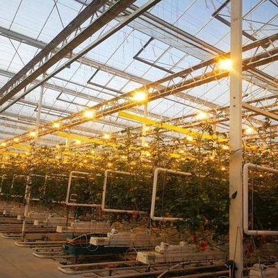 Groenhuis voor zaadverbouwing verlicht met natte gordijnen en aanpasbare opties