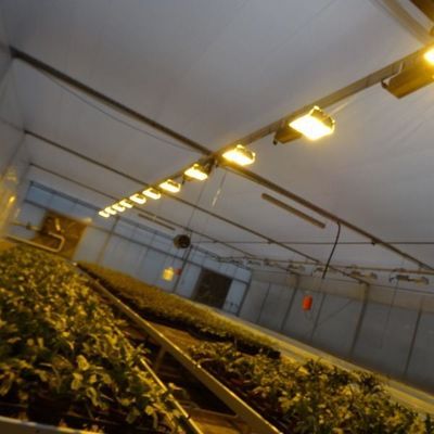 Groenhuis voor zaadverbouwing verlicht met natte gordijnen en aanpasbare opties
