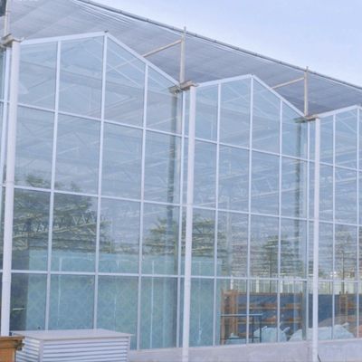 Hydroponische teeltmethode Landbouw Glaskas voor tomaten/vruchten
