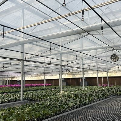 Grote en Venlo-achtige glazen landbouwkasten met automatisch besturingssysteem