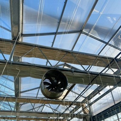 Grote en Venlo-achtige glazen landbouwkasten met automatisch besturingssysteem
