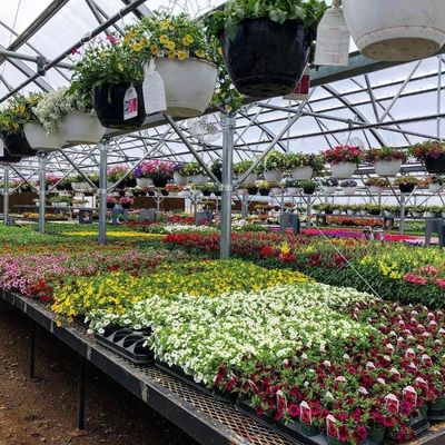 Gepersonaliseerde kas voor de landbouw Commercieel glas/Temperingsglas/Floatglas