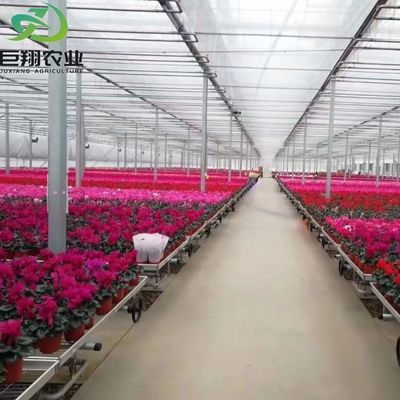 Gepersonaliseerde kas voor de landbouw Commercieel glas/Temperingsglas/Floatglas