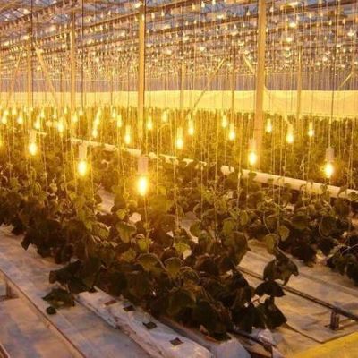 Doppelschijfer waterbespuitingsapparaat met gecontroleerde verlichting kas voor plantenoplossingen