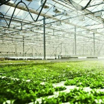 Doppelschijfer waterbespuitingsapparaat met gecontroleerde verlichting kas voor plantenoplossingen