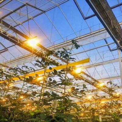 jx-gg-002 Hydroponische vochtigheid verlichtende zaadplaten kas en teruggave