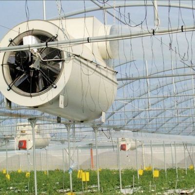 jx-gg-002 Hydroponische vochtigheid verlichtende zaadplaten kas en teruggave