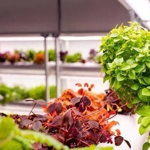 Hydroponische zaaifaciliteit Innen schaduwfilmplanting Kas met buitenschaduw