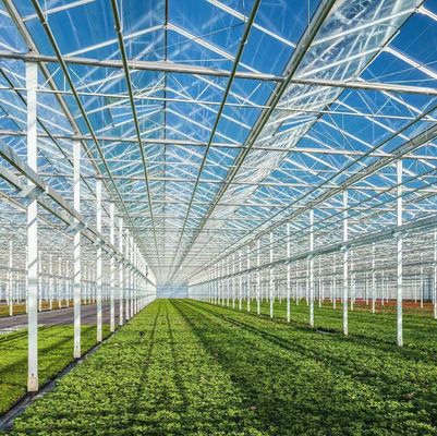 Hydroponics Cultivatie methode Commerciële verwarming Tuin Glas kas voor planten