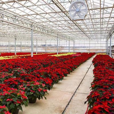 Hydroponics Cultivatie methode Commerciële verwarming Tuin Glas kas voor planten
