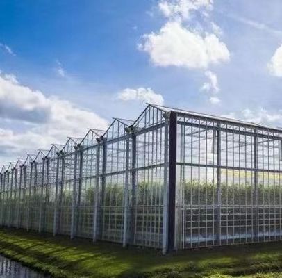 Hydroponics Cultivatie methode Commerciële verwarming Tuin Glas kas voor planten