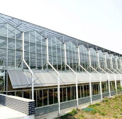 Hydroponics Cultivatie methode Commerciële verwarming Tuin Glas kas voor planten
