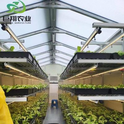 Op maat gemaakte JX-Glas Groenhuis 2023 Juxiang Landbouwapparatuur met koelsysteem