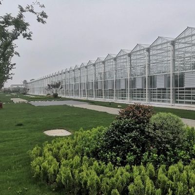 Staalstructuur Druppelbewatering Glaskas voor planten Dakbedekking Vorm een daktype