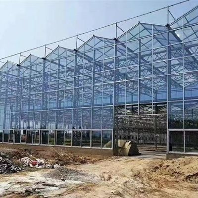 Staalstructuur Druppelbewatering Glaskas voor planten Dakbedekking Vorm een daktype