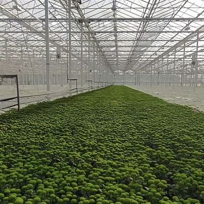 Op maat gemaakte dubbele gelaagde multi-glas kas voor bloemen gemaakt op uw specificaties