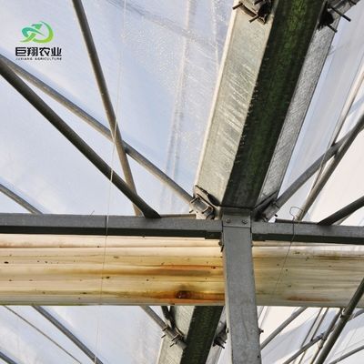 100% Blackout Automatic Light Deprivation Greenhouse voor Canada / VS Vraag om een monster