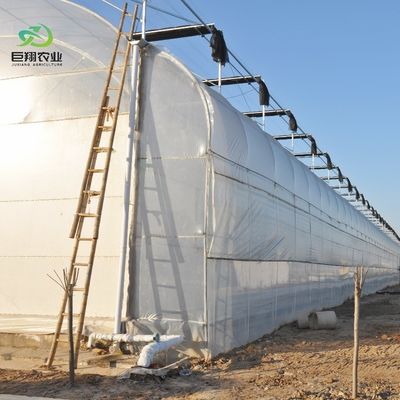 100% Blackout Automatic Light Deprivation Greenhouse voor Canada / VS Vraag om een monster